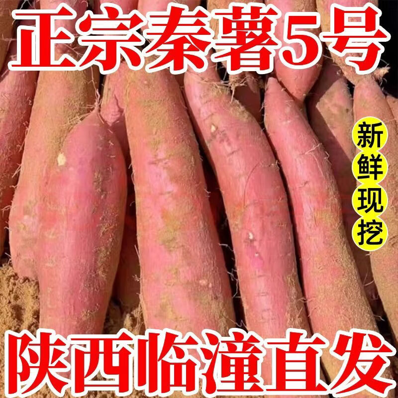 正宗陕西板栗红薯粉糯香甜无丝无筋 9斤中大果 含箱子