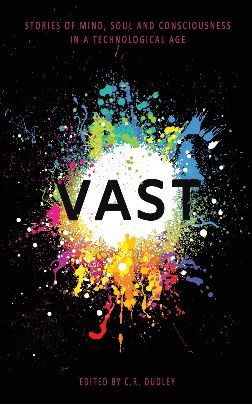 【预售 按需印刷】vast
