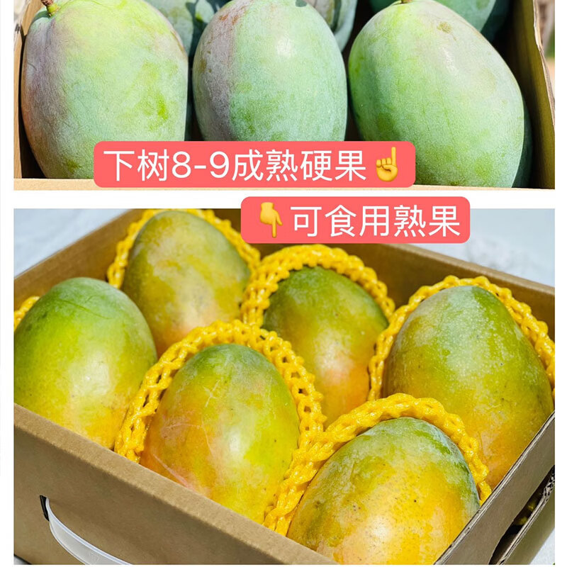 凯特芒果礼盒8斤整箱顺丰包邮应季新鲜采摘四川攀枝花大芒果 8斤礼盒装约5-8个