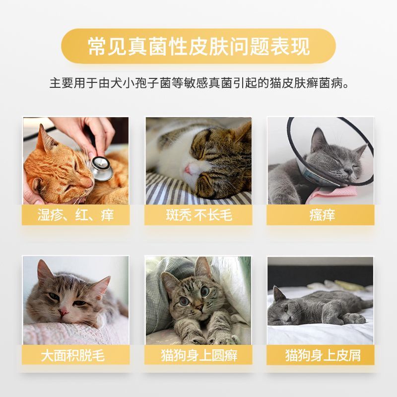 金宇汉肤欣同成分伊曲康唑口服液猫藓狗真菌皮炎感染皮肤病马拉色菌 皮肤病洗剂+喷剂 1mg*1盒
