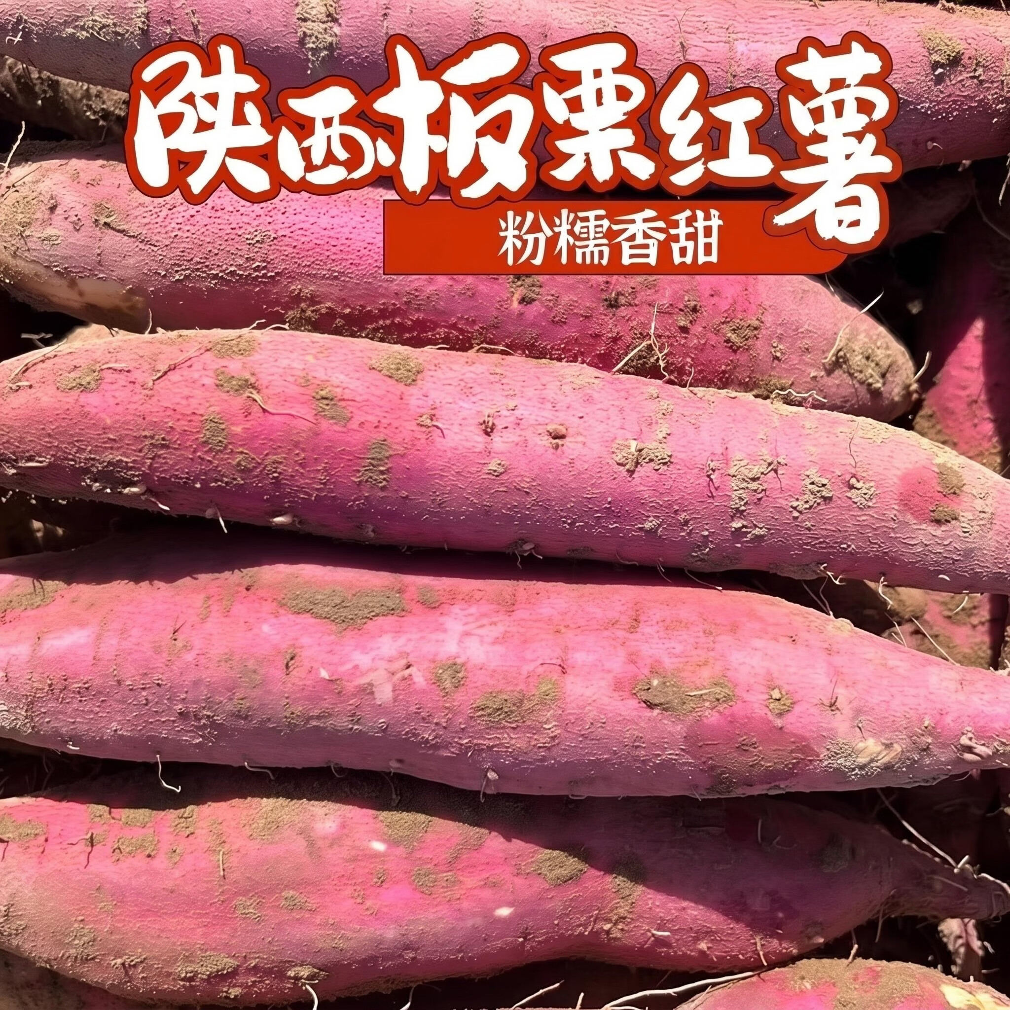正宗陕西板栗红薯粉糯香甜无丝无筋 9斤中大果 含箱子