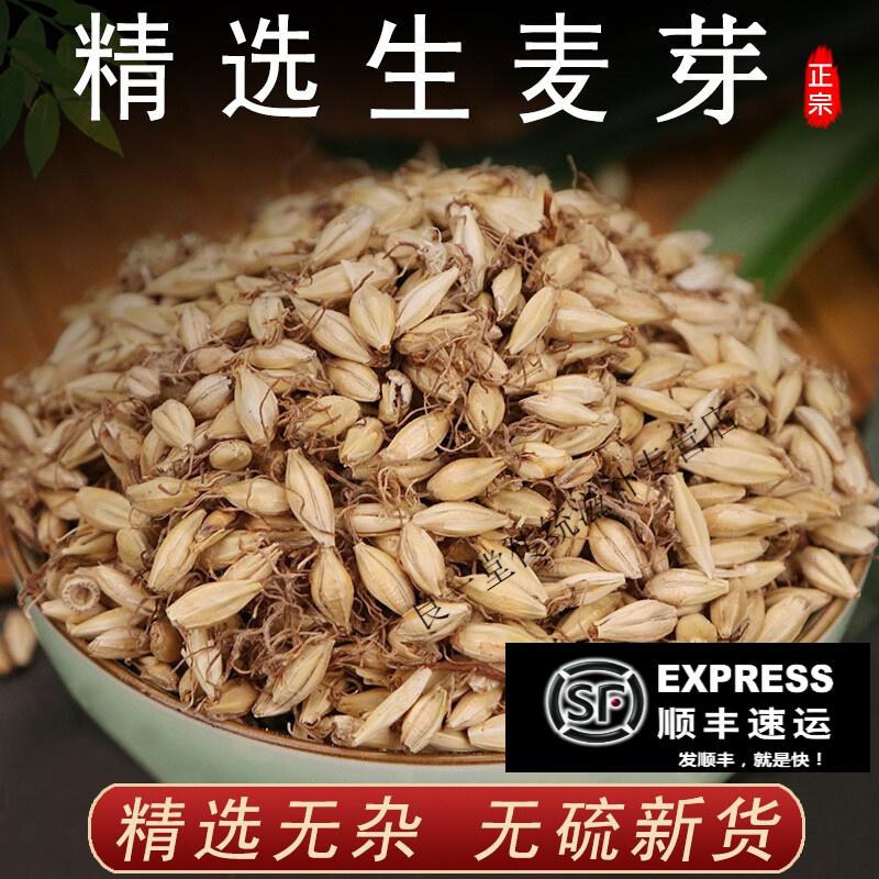 500g特级生熟大麦芽新货泡茶煮水另售山楂稻芽谷芽 【生麦芽500克】