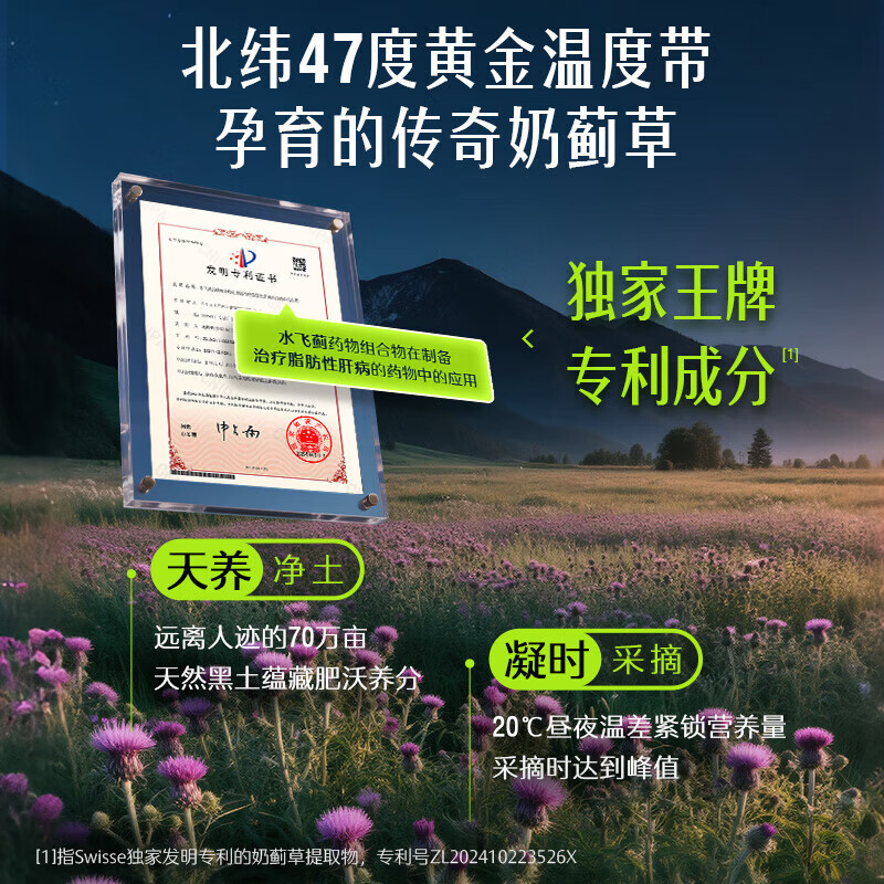 Swisse澳洲Swisse奶蓟草胆碱片养肝奶蓟草水飞蓟熬夜保养 二代奶蓟草片【2瓶装】
