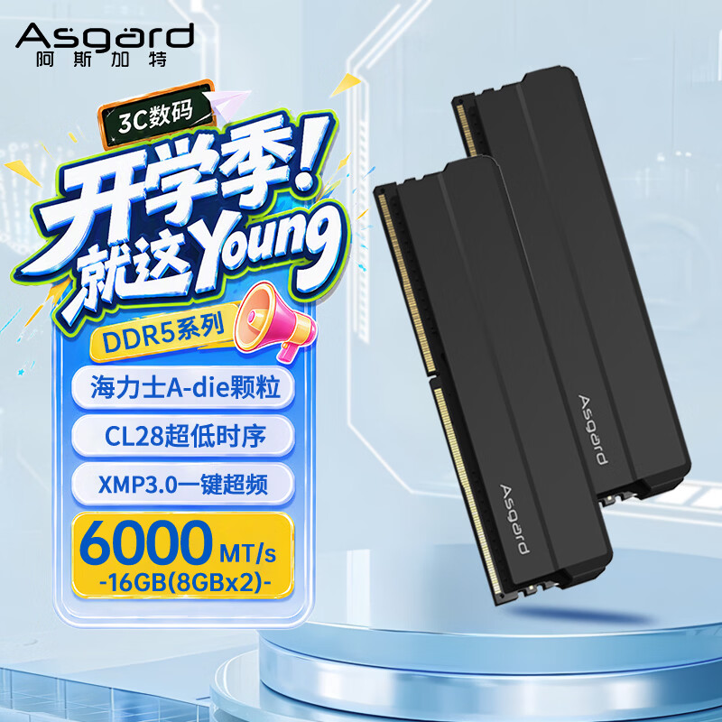 阿斯加特（Asgard）16GB(8GBx2) DDR5 6000 台式机内存条 海拉 马甲条 海力士A-die CL28 极夜黑 AI电脑配件升级