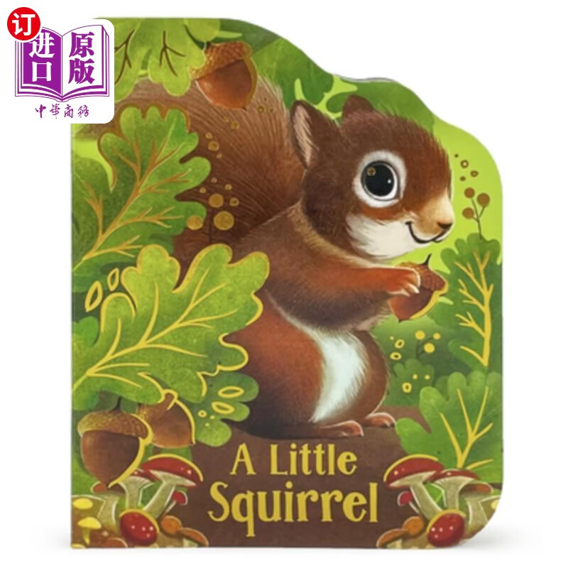 海外直订a little squirrel 一个小松鼠