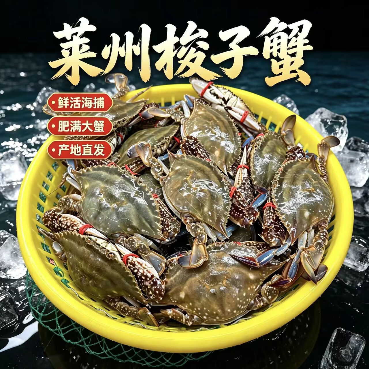 梭子蟹鲜活莱州特大母蟹野生大螃蟹鲜活生鲜海鲜新鲜海蟹飞蟹白蟹 【活蟹活发 肉母蟹】 每只5-6两 10只装