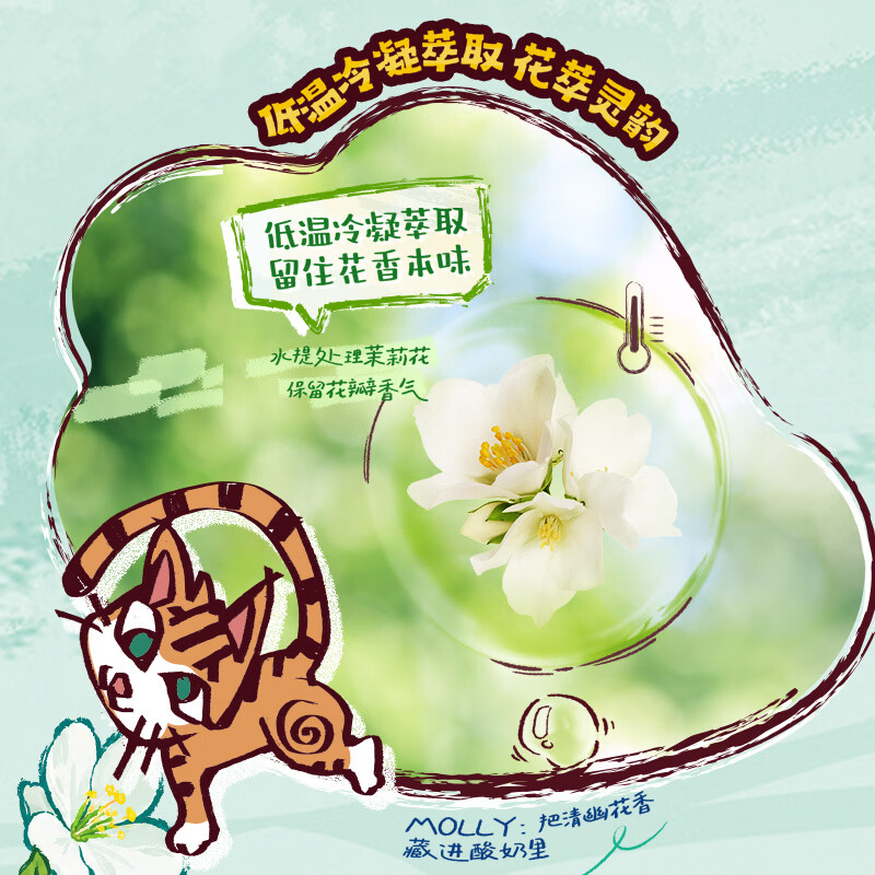 伊利安慕希茉莉青提酸奶230g*10瓶 泡泡玛特Molly联名IP装 礼盒装