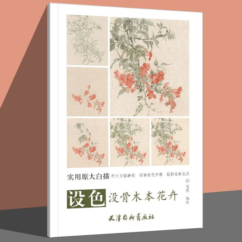 设色没骨木本花卉