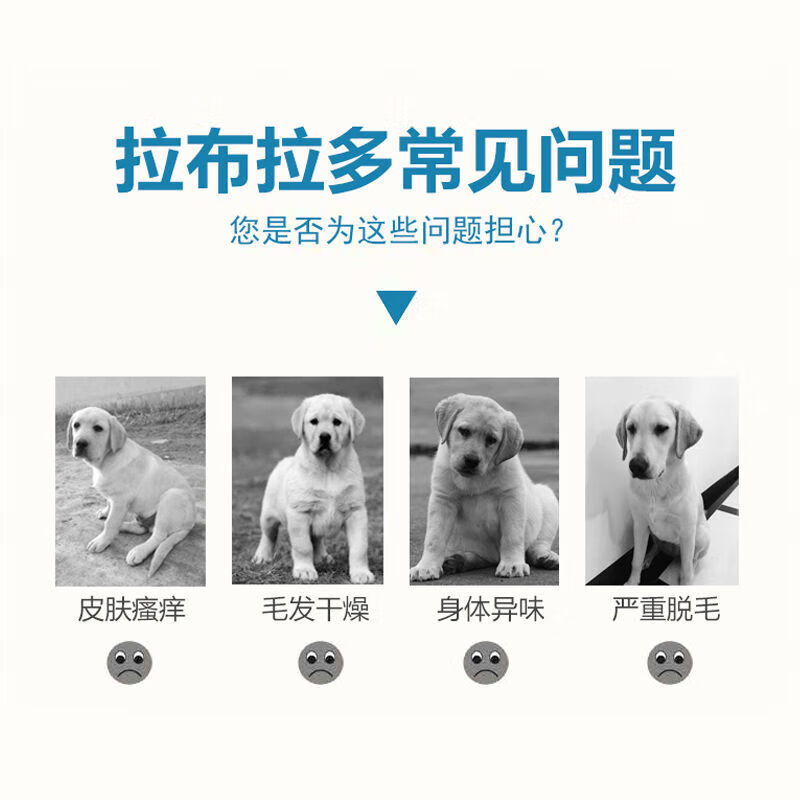 乖宠（Guaichong）拉布拉多狗狗沐浴露杀菌除臭杀螨止痒香波浴液宠物洗澡用品 拉不拉多护毛素