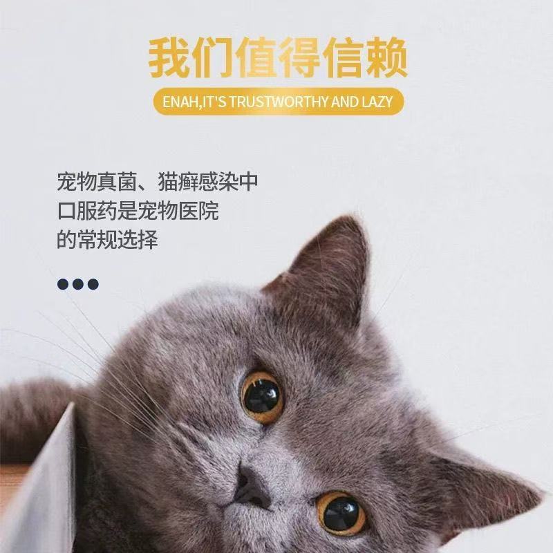 金宇汉肤欣同成分伊曲康唑口服液猫藓狗真菌皮炎感染皮肤病马拉色菌 皮肤病洗剂+喷剂 1mg*1盒