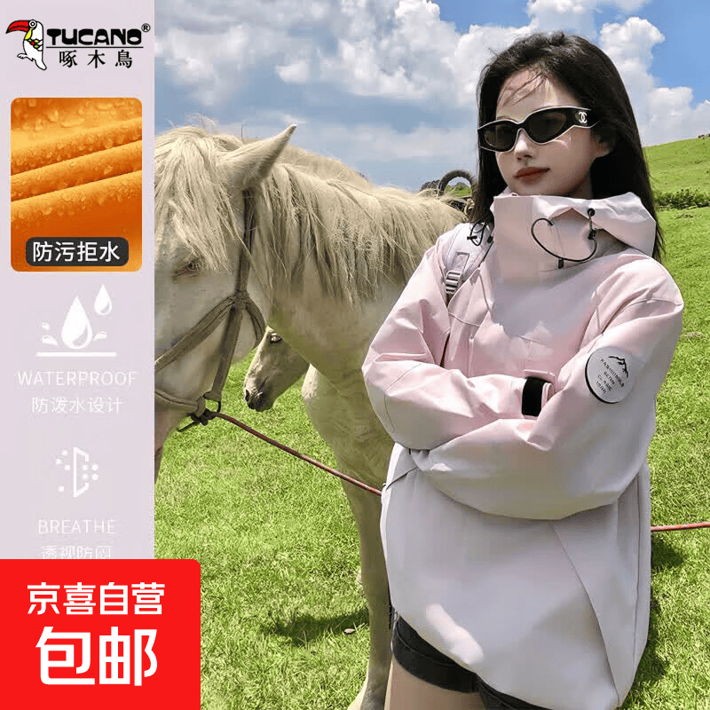 啄木鸟（TUCANO）户外情侣款防风水可拆卸两件套三合一徒步登山滑雪服 木黛粉【男女同款】单冲 L（105-125斤）