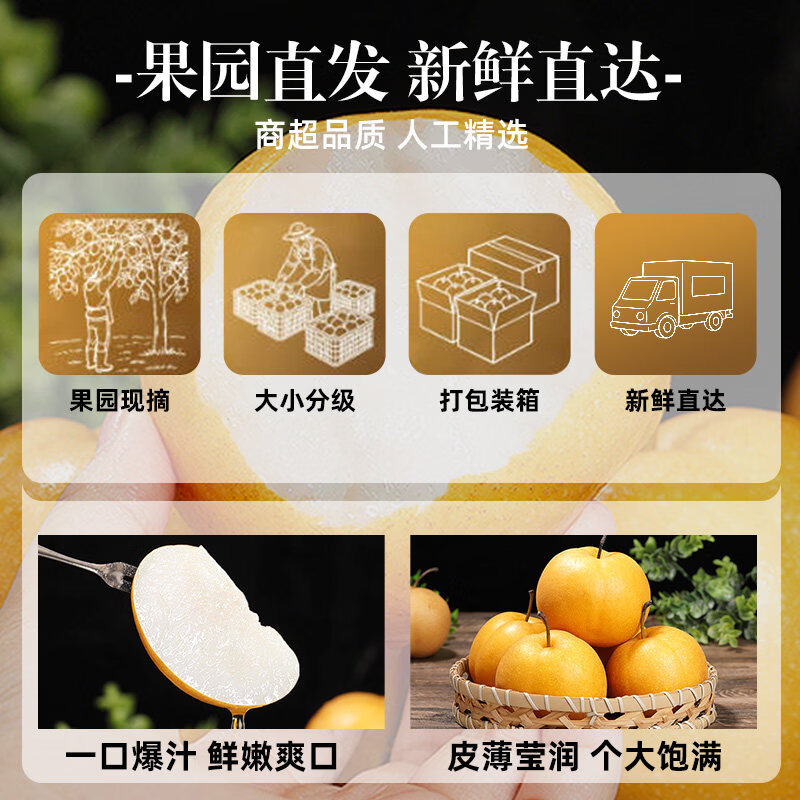 春福乐 正宗山东秋月梨【闪送-多地次日达】水果当季现摘冰糖梨顺丰礼盒 5 斤大果【单果 6 两起】净重 4.5斤 普通快递丨商超一级果