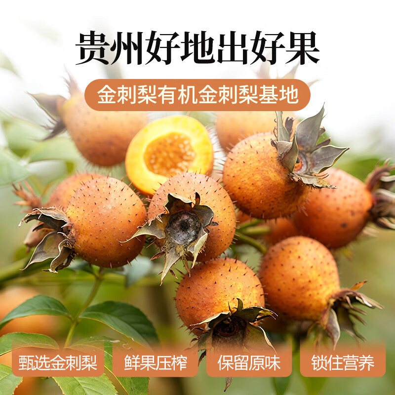 C味·C位贵州特产100%NFC金刺梨原汁非沙棘富含VC小包装开袋即饮50ml*10袋 月度调养装：4盒（50ml*40袋） 金刺梨原液