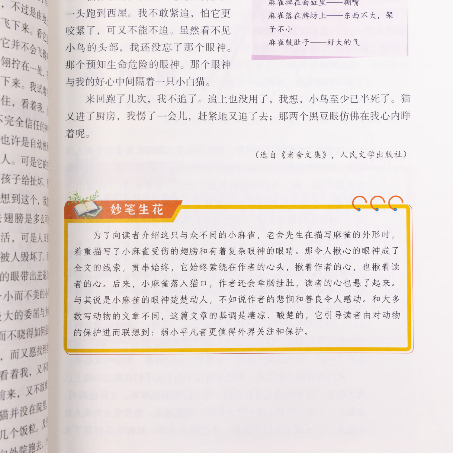 【现货速发】意林星选好文 18周年校园升级版—符合中小学阶段的阅读需求,记叙文、说明文、散文、漫画...文体涉及广泛,为中小学生打开阅读的多维度窗口,阅读写作能力 意林星选好文小学版AB(全二册)