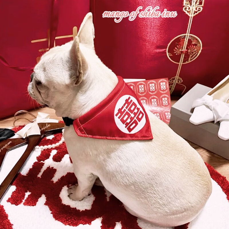 狗狗猫咪口水巾围巾围脖喜庆宠物中大型犬定制名字结婚喜字可调节