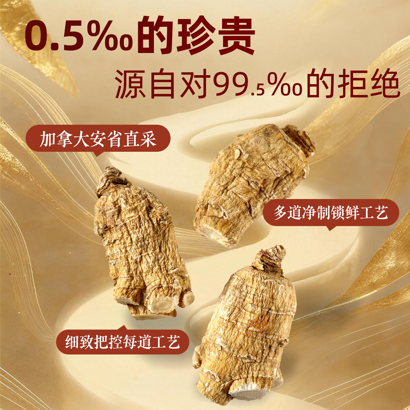 大山行【特级礼盒】西洋参泡参粒头特大片礼物加拿大进口花旗参旗舰正品 小号长粒泡参 227g*1盒 【图腾礼盒】