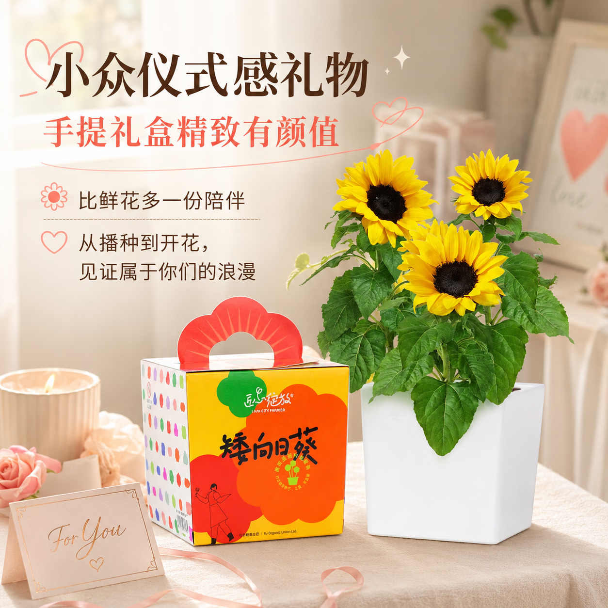 IAM City Farmer矮向日葵DIY儿童种植小盆栽种子植物盆栽幼儿园绿植趣味观察 【矮生向日葵】套装 含盆含土含种子