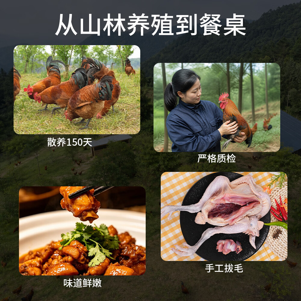 福景鲜青脚公鸡农家散养整只公鸡肉走地鸡 生鲜现杀土公鸡红烧鸡公 青脚公鸡3.5斤*2只【红烧超好吃】