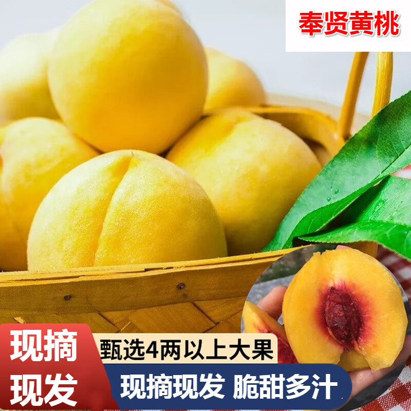 菓灵稥 上海奉贤锦绣黄桃  水果新鲜现摘现发甜脆红心桃子当季大果