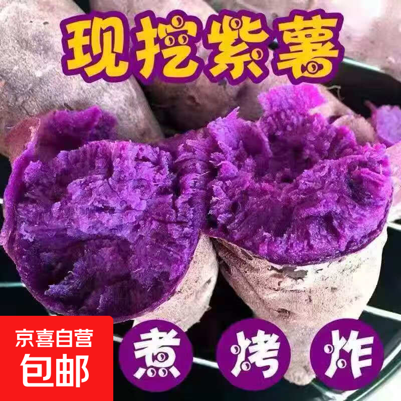 湖北紫罗兰紫薯沙地现挖紫薯宝宝辅食紫芋头山芋苕粗粮新鲜包邮 沙地紫薯5斤装中果 优选款