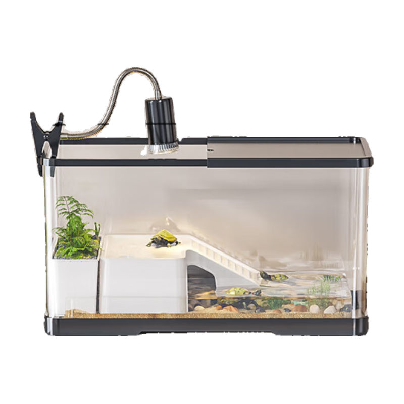 ��ͥ�ڹ����̬�׳���������͸������ר�ú�ɫ��