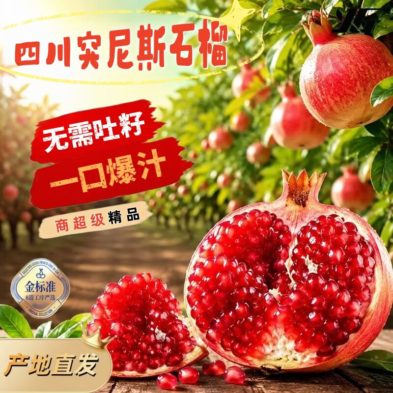 突尼斯软籽石榴正宗四川会理红宝石中秋水果2026现摘现发 带箱5斤【大果5-6两】实惠