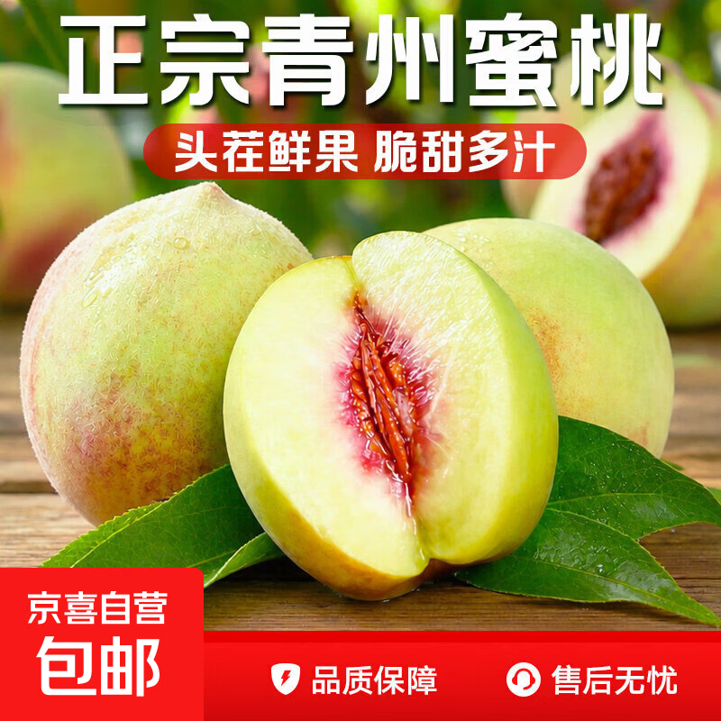 正宗青州蜜桃新鲜现摘脆甜多汁离核桃整箱孕妇水果当季直发09 带箱2斤（净重1.6斤）大果【80%人选】