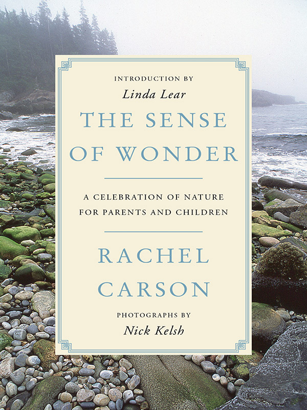 the sense of wonder: a celebration of nature for parents and