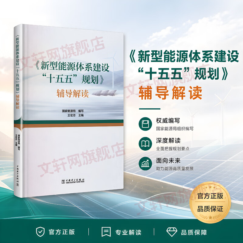 新型能源体系建设十五五规划辅导解读 中国电力出版社 国家能源局 编写;王宏志 主编 书籍 图书
