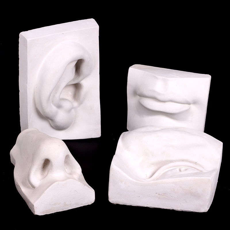 五官石膏像几何体素描实面切面眼耳鼻嘴模型素描静物美术教具人物雕塑