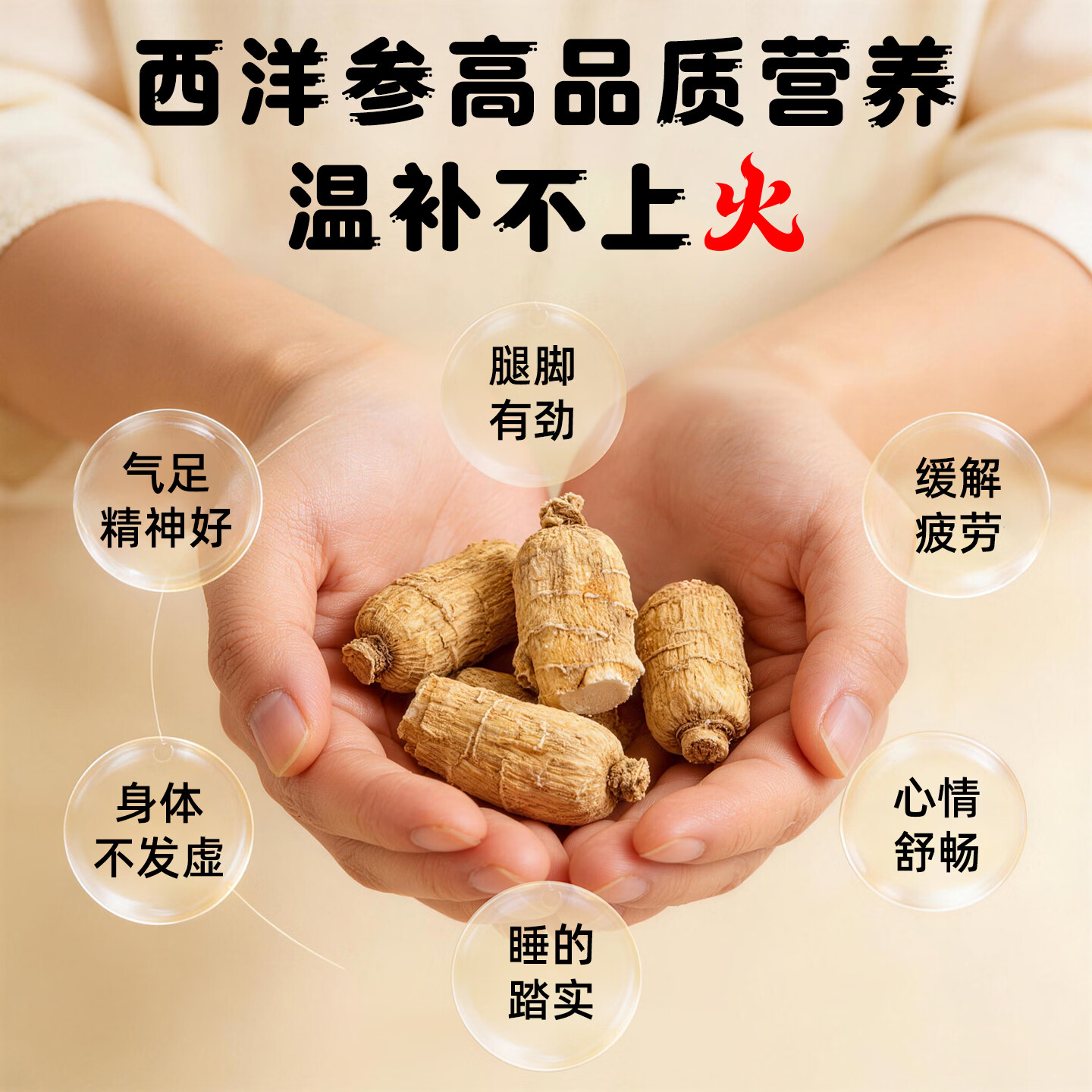 大山行进口加拿大西洋参泡参粒头正品礼盒教师中秋节礼物送父母老人亲戚 7号圆粒 227g*1盒 【图腾礼盒】