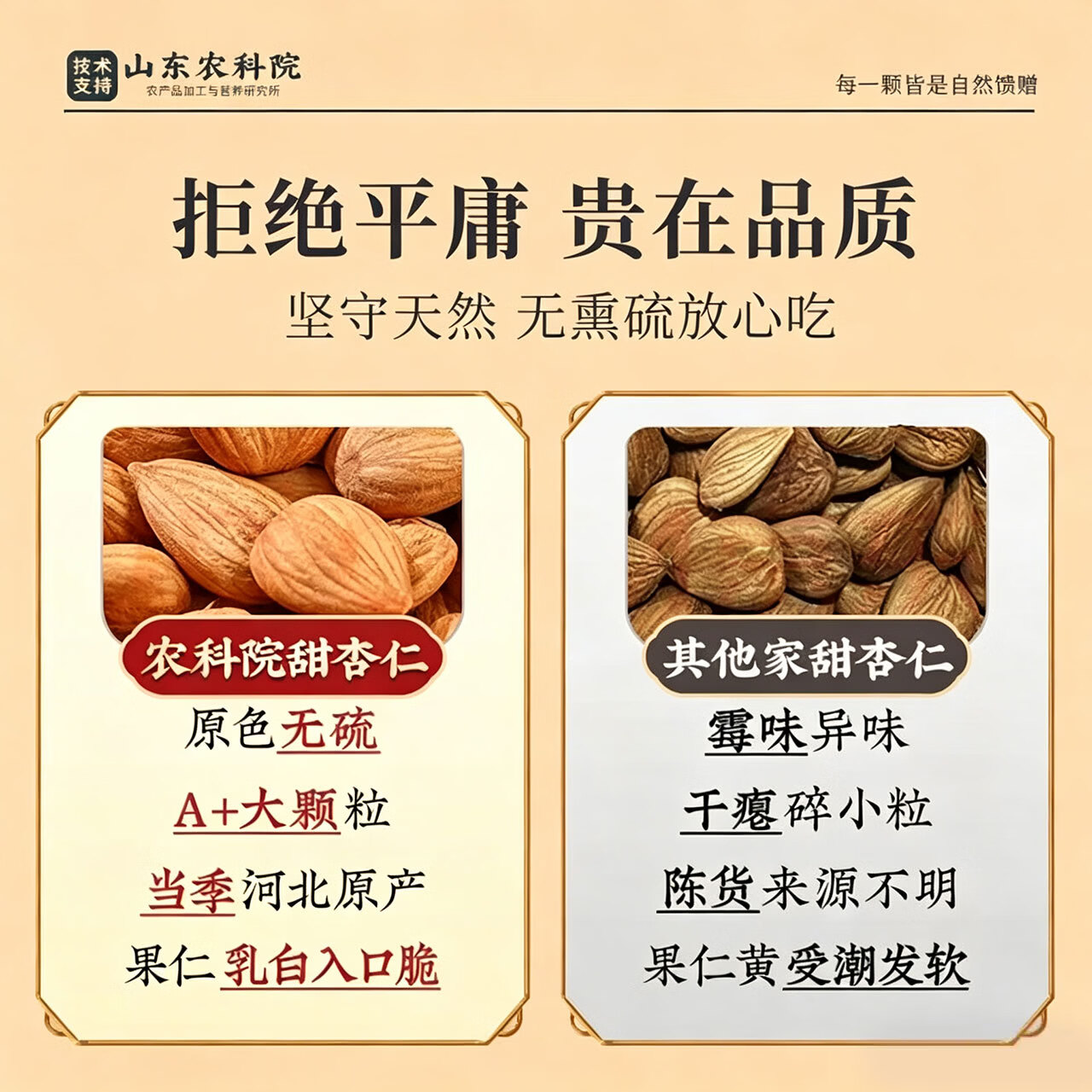 优卓特优级南杏仁原味无添加无蔗糖熟制杏仁大颗粒原产地农科院官方 【原色原香】特级熟制南杏仁 250g*1罐