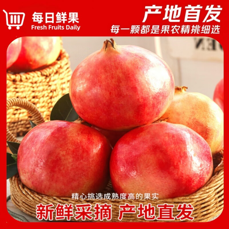 【品质】正宗四川会理突尼斯软籽石榴新鲜直达中秋水果礼品 带箱5斤【大果5-6两】实惠畅销