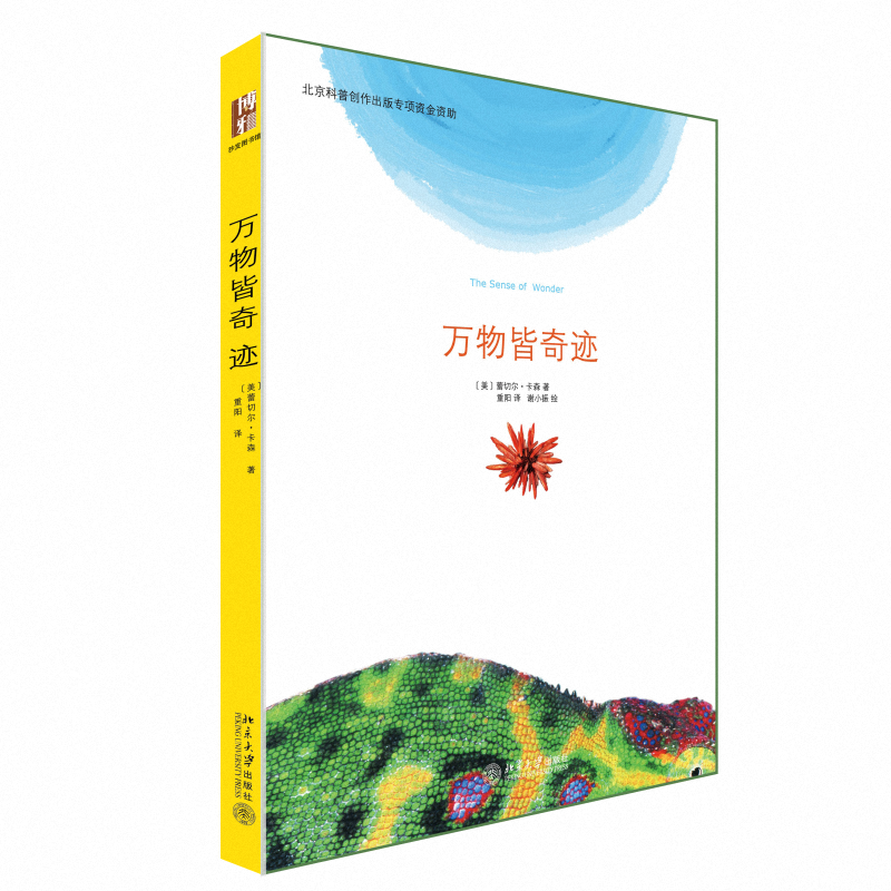 万物皆奇迹(精)