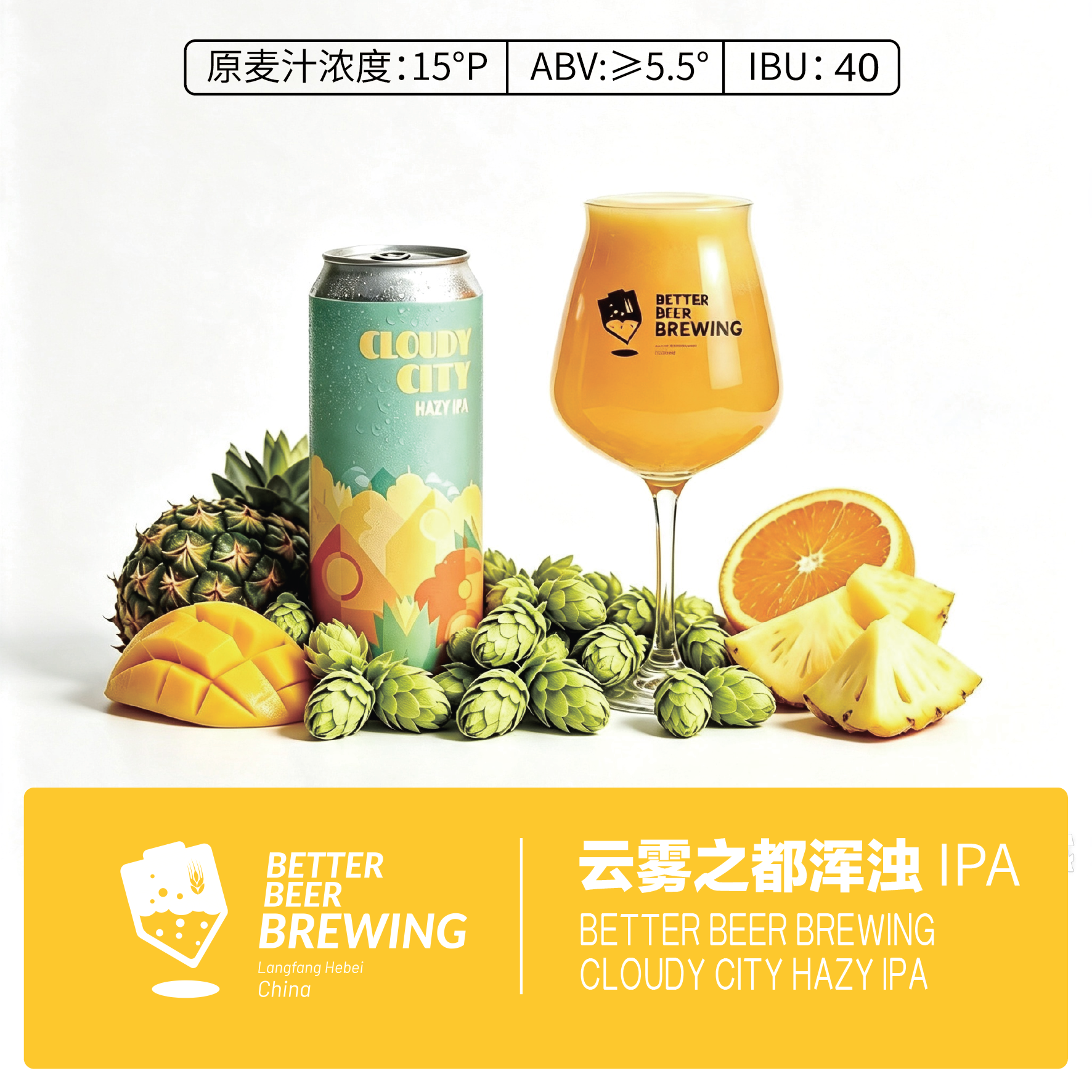 嘉啤【8/20日灌装顺丰送货上门】云雾之都浑浊IPA原麦15°P酒精5.5%vol 云雾之都浑浊IPA啤酒 500mL 12罐 (11元每罐)