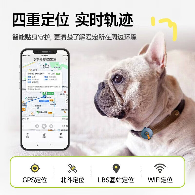 AIRMGT宠物定位器 猫咪狗狗gps追踪防丢失5G跟踪神器挂脖项圈防拆 宠物防丢专业版-全程0费用