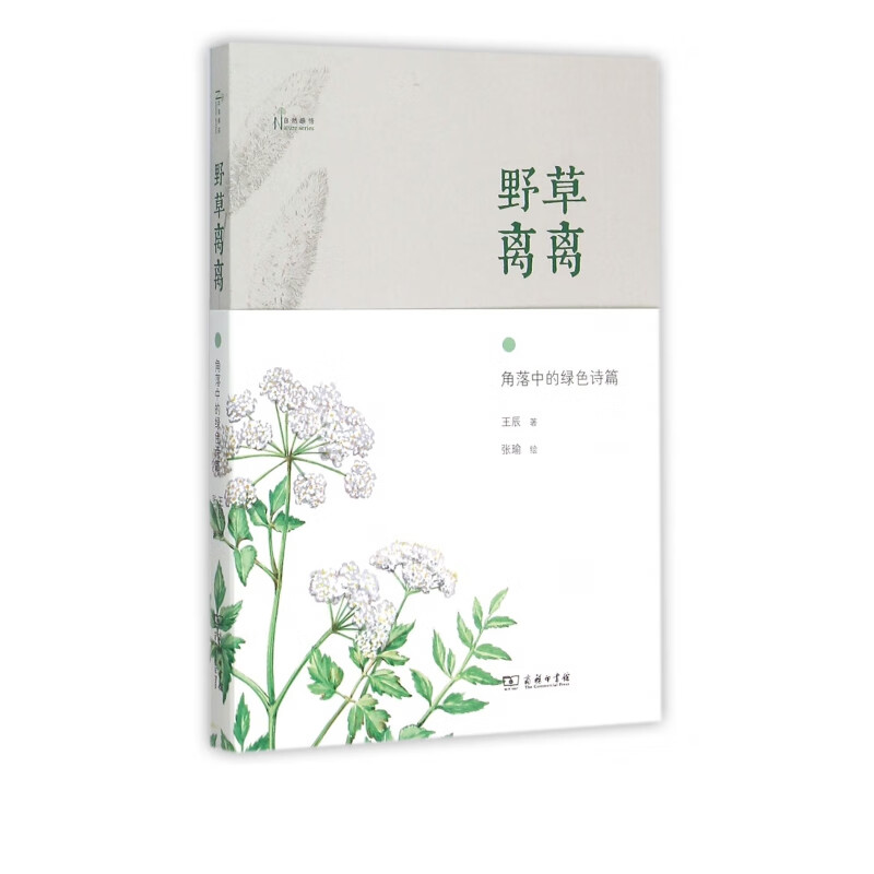野草离离(角落中的绿色诗篇)/自然感悟