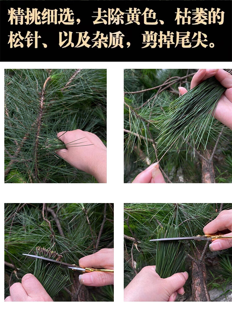 盛羿堂松针中药材500g新鲜叶干长白山中药马尾松特级干松针茶