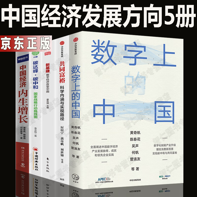 中国经济5册数字上的中国+碳达峰碳中和+新基建数字经济改变中国+共同富裕科学内涵与实现路径+中国经济内生增长