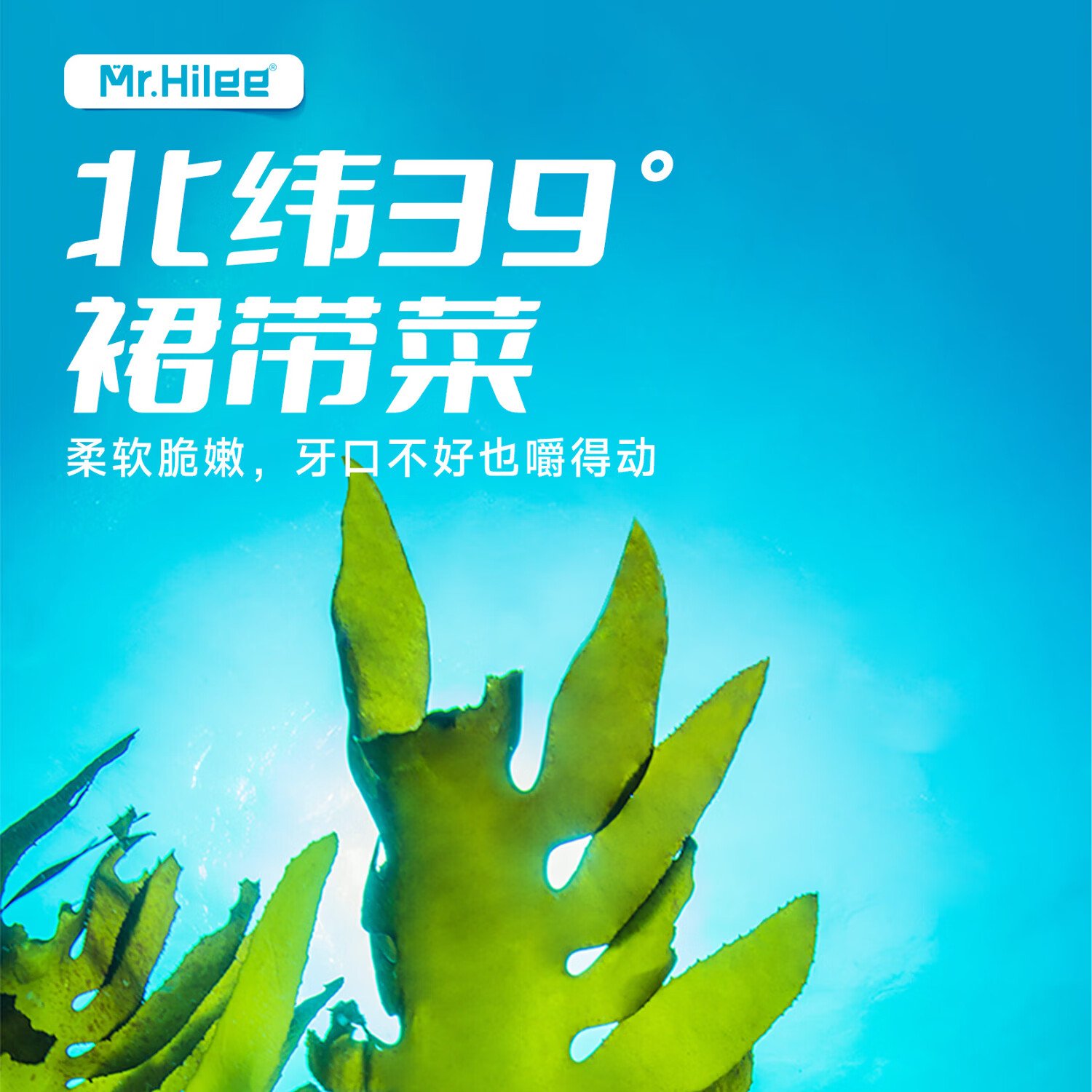 海狸先生 裙带菜海带丝开袋即食海草寿司梗片海白菜中华海藻沙拉 酸甜味100g*5袋