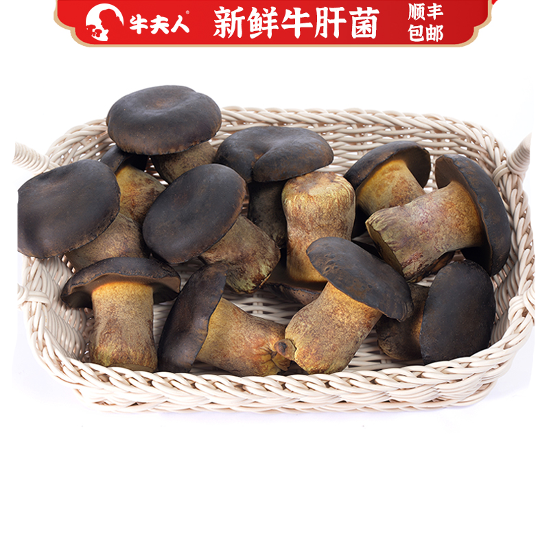涵鹭 牛夫人新鲜牛肝菌500g实惠装云南特产有机黑牛肝菌珍稀食用菌