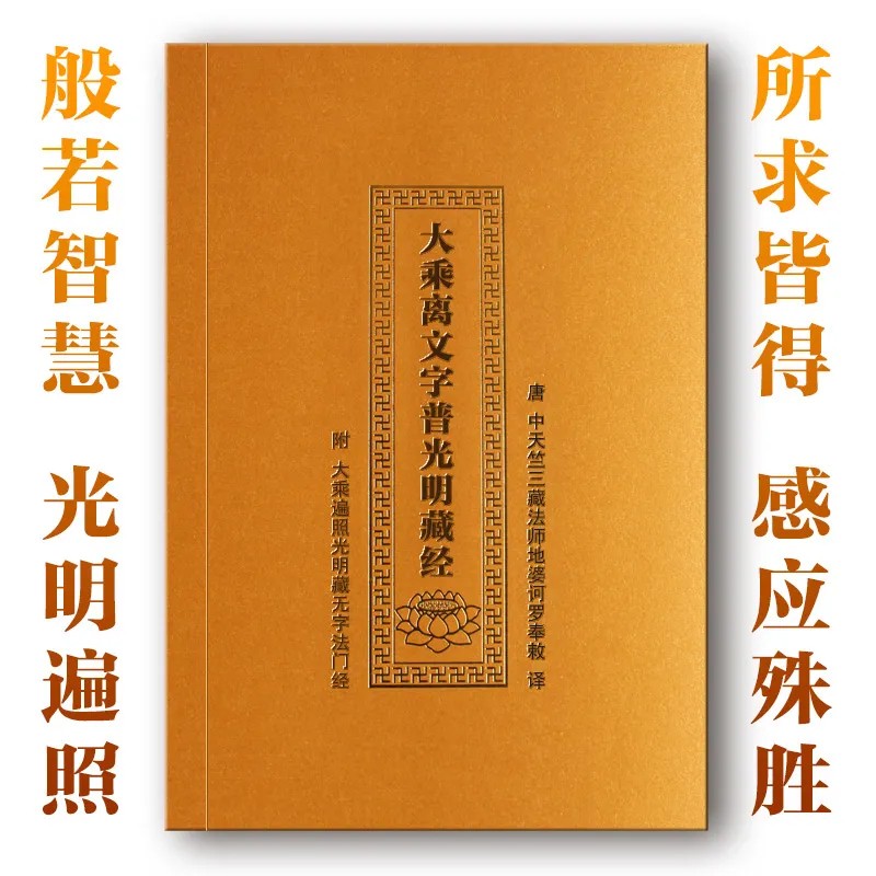 普光明藏经注音版读本简体拼音版大乘离文字普光明藏经读诵本大乘遍照