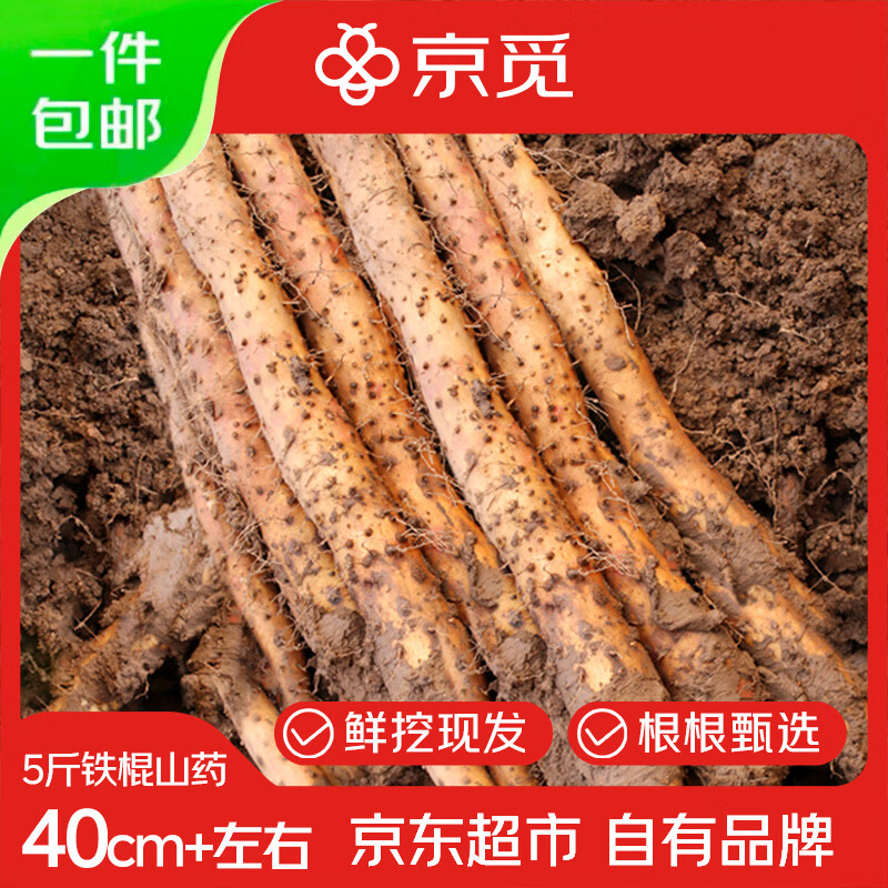 京觅铁棍山药焦作温县垆土铁棍山药40cm左右5斤 32.9元 - 线报酷