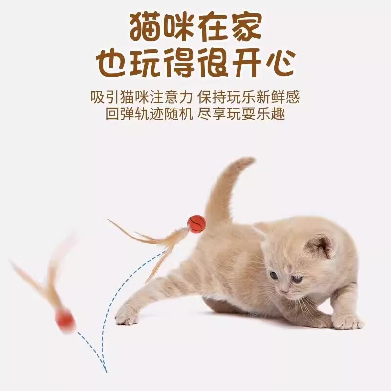 【厂家直发】猫咪逗猫棒磨牙趣味弹力球带羽毛布偶猫最爱自嗨解闷 【弹力款】篮球一个装