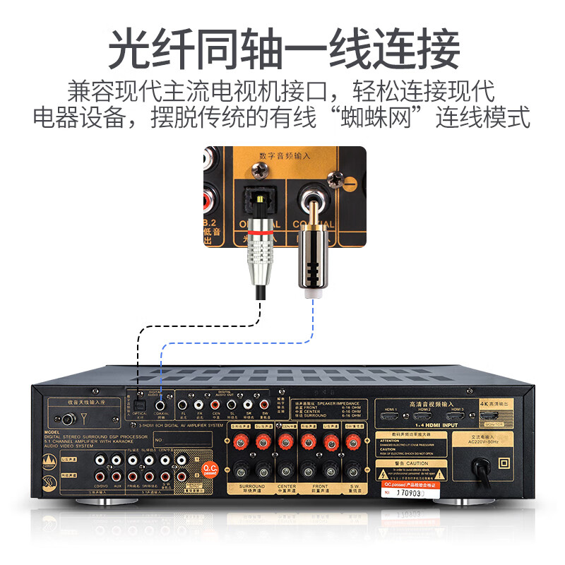 山水DM-20A5.1声道家庭影院功放机家用专业卡拉ok后面有没有插麦克风的？