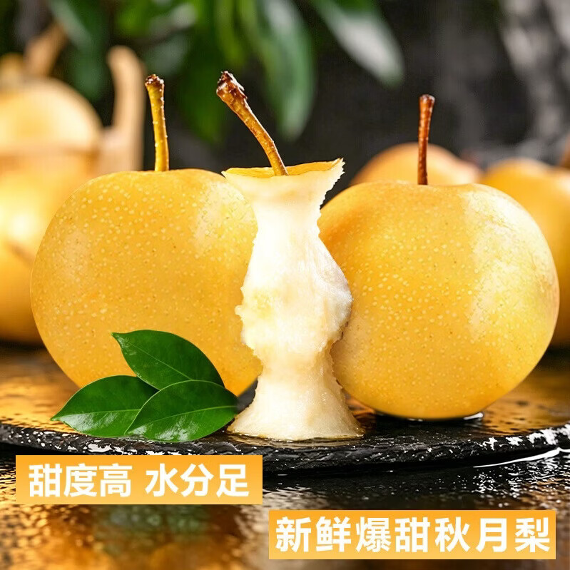 雪芬宁陵秋月梨 新鲜水果脆甜多汁 纯天然农家现摘 产地直发 秋月梨净重3斤【单果250g+】