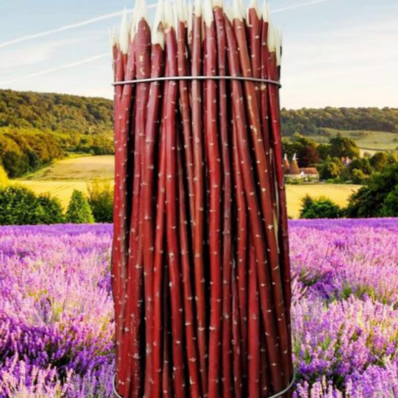 思艾格烤肉红柳枝红柳烧烤签子新疆签子特色羊肉串签子红柳木烤串签