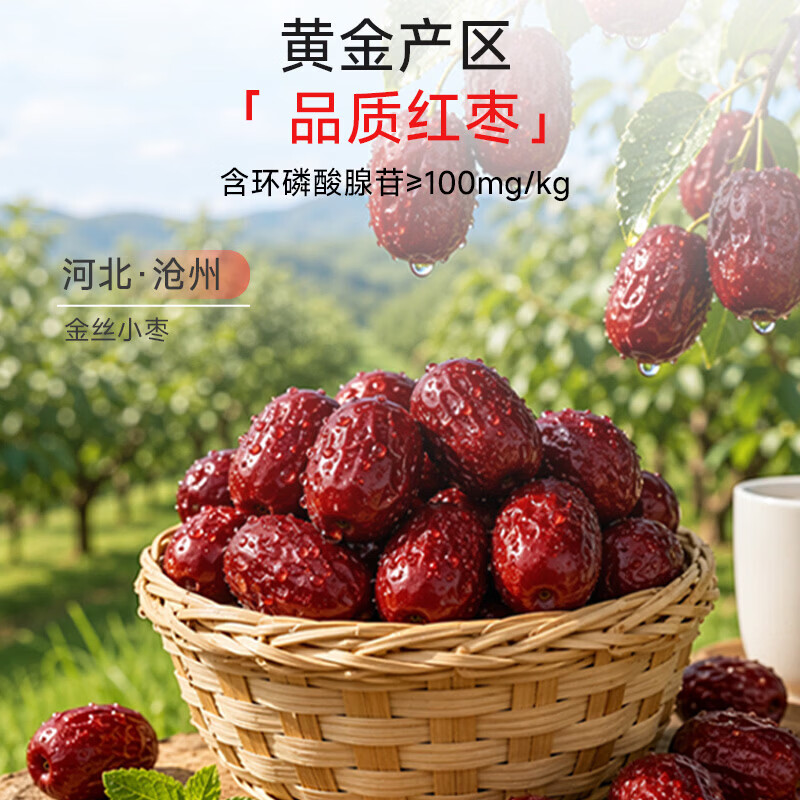 佰倍优红枣提取液血红素铁血蛋白肽成人女性补气血补铁饮口服液营养品 坚持喝更有效【周期装6盒】 50ml*24瓶