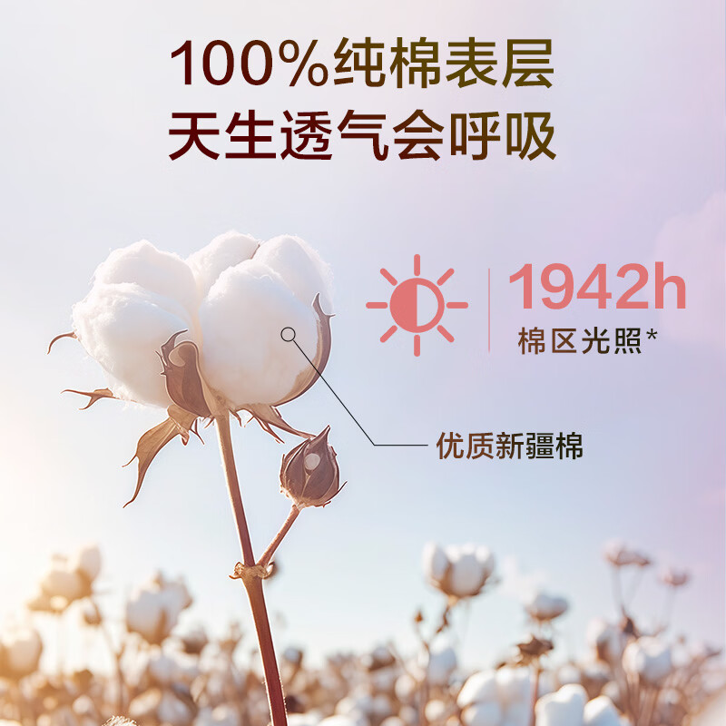 1号会员店医护级卫生巾 355mm10片夜用100%纯棉面层姨妈巾全棉