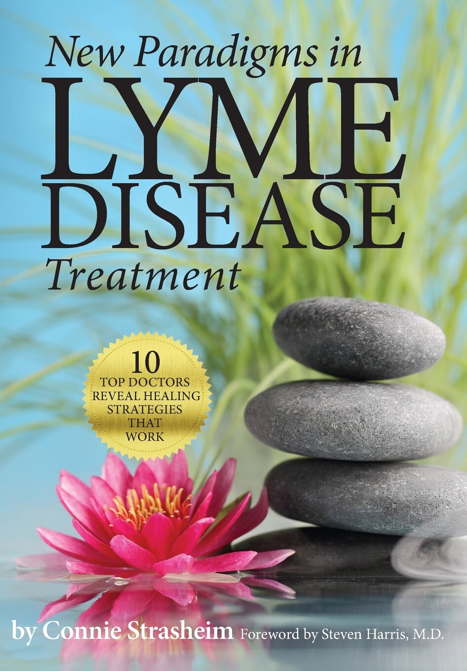预售 按需印刷 new paradigms in lyme disease treatment
